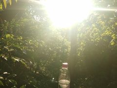 -高榜山景区