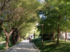 -元大都城垣遗址公园