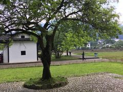 -井冈山风景名胜区-黄洋界