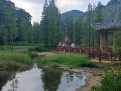 -广州市石门国家森林公园