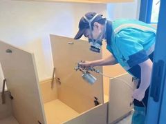 -叶子环保专业除甲醛(广州总部)
