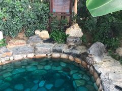 -中家鑫园温泉酒店鑫悦汤泉