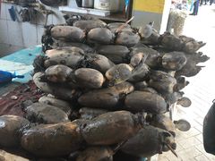 -南沙十九涌渔人码头-南门