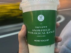 -茉酸奶(春熙路店)