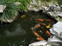 -莹珠阁·私房菜