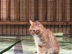 -龙达温泉生态城