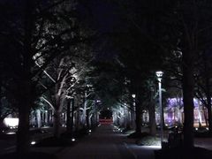 -百林公园-两江幸福广场