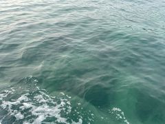 -涠洲岛南湾海洋运动公园