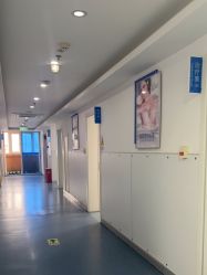 -温州伯思立医院