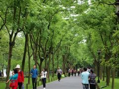 -苏堤停车场