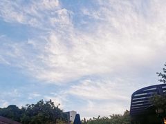 -沙龙酒家