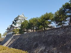 -名古屋城