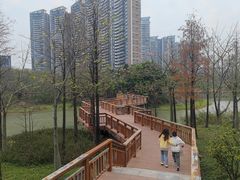 -广东花都湖国家湿地公园