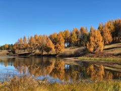 -塞罕坝国家级自然保护区