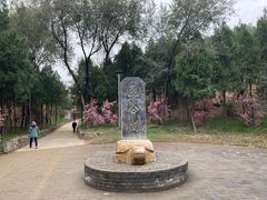 -函谷关历史文化旅游区