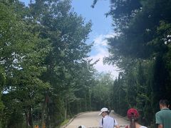 -沂蒙山旅游区云蒙景区(蒙山国家森林公园)