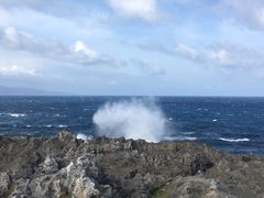 -龙坑生态保护区