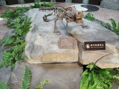 -自贡恐龙博物馆