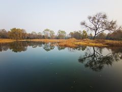 -北坞公园