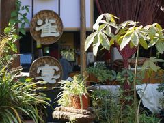 -品德宏·孔雀宴的发源地(金塔园店)