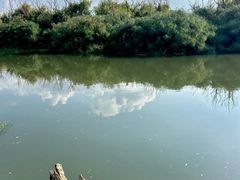 -捞渔河湿地公园