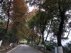 -广州市石门国家森林公园