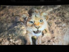 -中影佰纳国际影城DMAX(花都广百广场店)