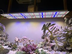 -街角等你.大连海鲜烧烤.经典铁板海鲜串(西安路店)