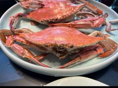 -浩运海鲜·16年专注青岛菜(石老人店)