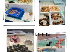 -小城故事·地道宁波味(月湖盛园店)