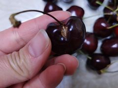 -江杨农产品批发市场