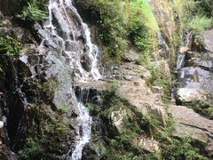 -七仙岭温泉国家森林公园