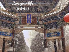 -迎泽公园