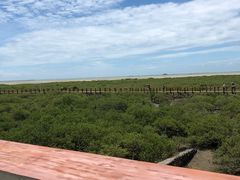 -北海金海湾红树林生态旅游区