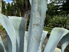 -墨尔本皇家植物园