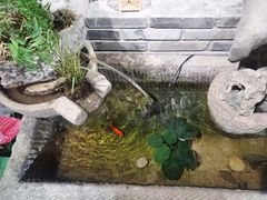 -川西坝子(苏州城市生活广场店)