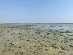 -北海金海湾红树林生态旅游区