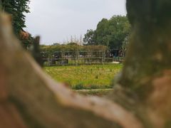 -洪湖家庭农场·团建·露营·会议