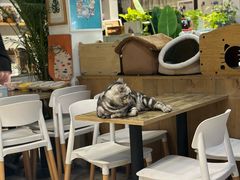 -小时光咖啡馆(北锣鼓巷店)