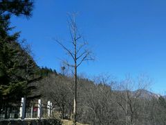 -北京鹫峰国家森林公园