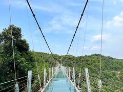-川西竹海景区