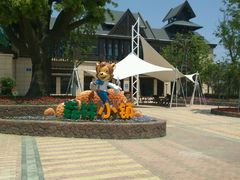 -苏州乐园森林水世界