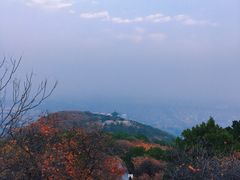 -北京西山国家森林公园