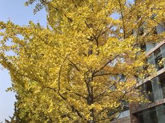 -浙江大学(紫金港校区)