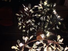 -丽晶大班SPA(大沽店)