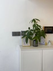 -B-BEAUTY童颜皮肤管理中心