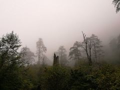 -燕子沟风景区