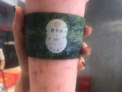 -野萃山·潮汕厚果汁(十亩地店)