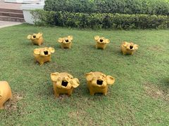 -清迈夜间动物园