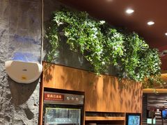 -巴奴毛肚火锅(龙湖锦艺城店)